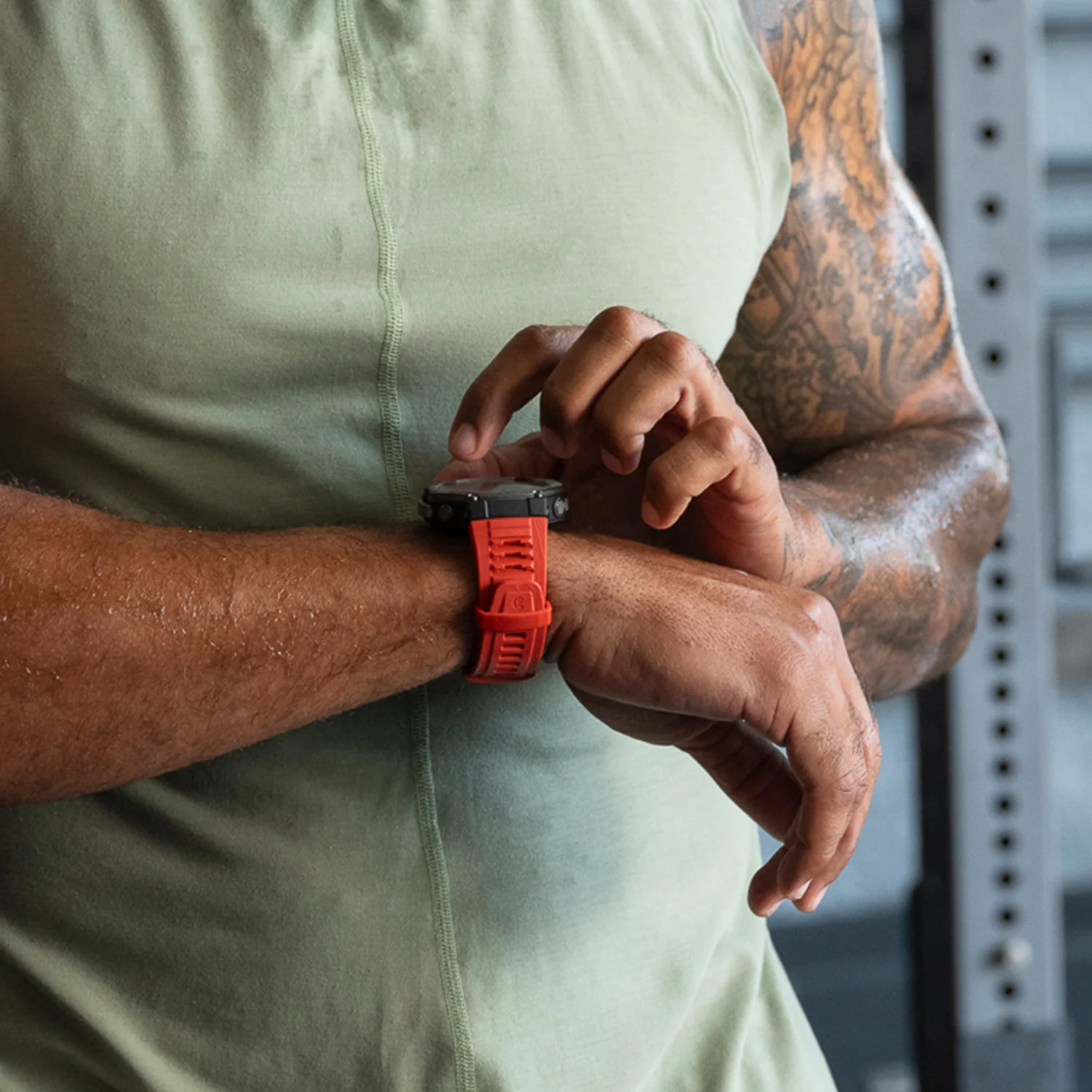 T-Rex 3 Straps - Image 5